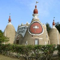 optimized_451_truli_01